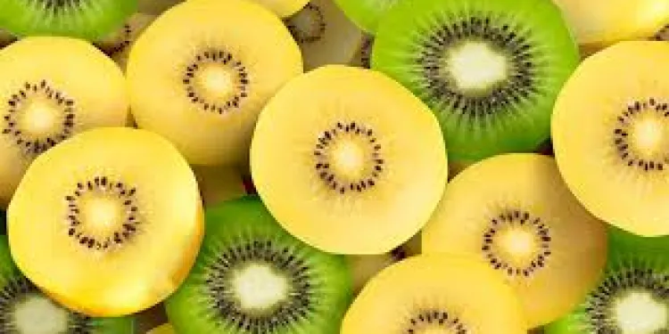 Cutting-edge Computer Modelling Reveals How Gold Kiwifruit Supplement Aids Gut Motility